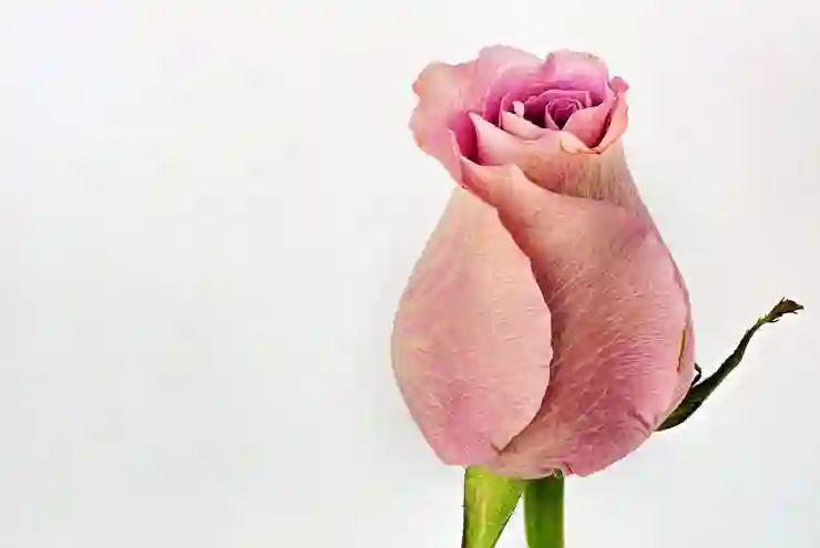 아이폰 휴지통 복구 방법: 삭제된 사진 및 파일 복구하기