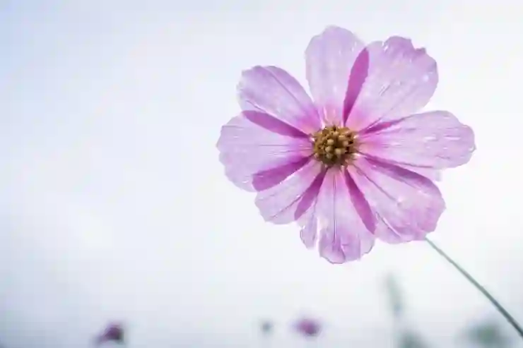건강진단결과서(보건증) 인터넷 발급 및 PDF 파일 저장 방법