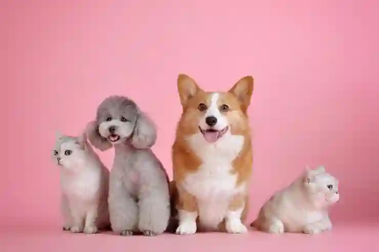 카카오뱅크 엠세이퍼 가입과 해지, 쉽게 하는 팁!