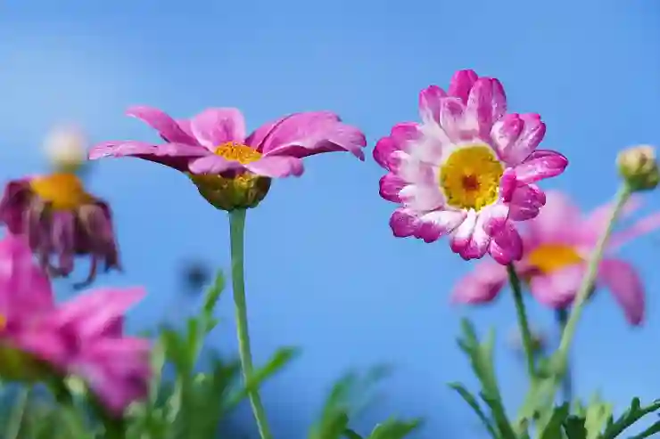 톡서랍 플러스 저렴하게 구독하는 스마트한 방법 알아보기