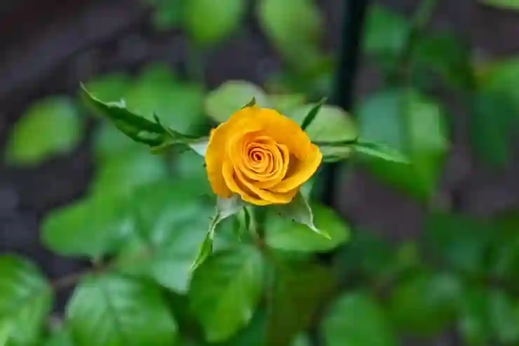 크롬 시크릿모드 완벽 가이드: 사용법부터 잠금 설정까지 알아보기