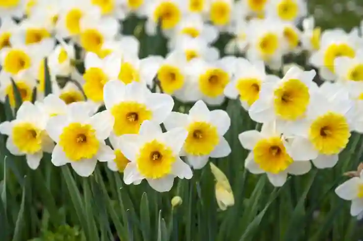 T전화 단축번호 쉽게 설정하고 해제하는 법 알아보기