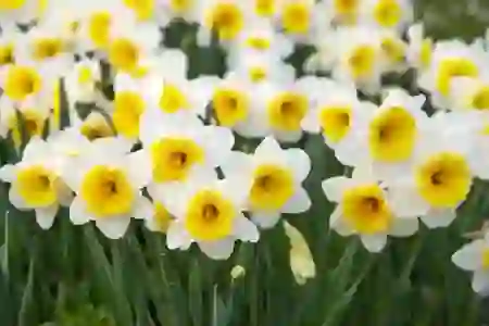 핀크 탈퇴 방법 및 유의 사항 알아보기