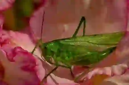 유튜브 건너뛰기 시간 5초 10초 설정 방법