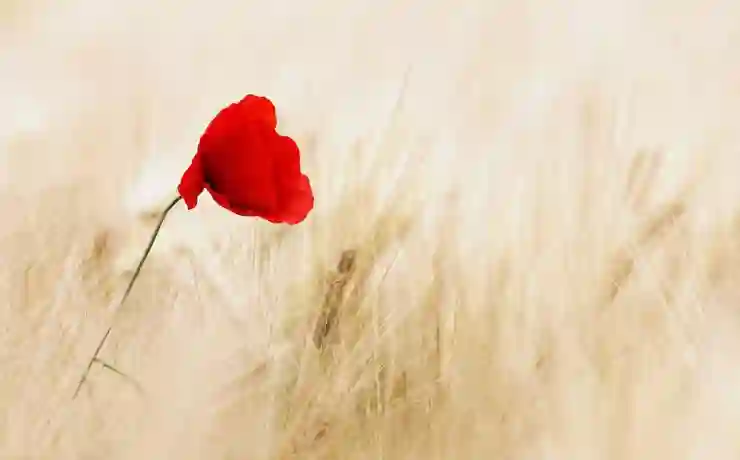 네이버 전화번호 변경 방법: PC 모바일