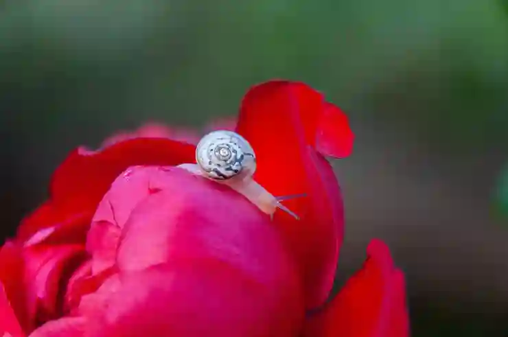 카톡 캘린더 음력 날짜 보기: PC 모바일