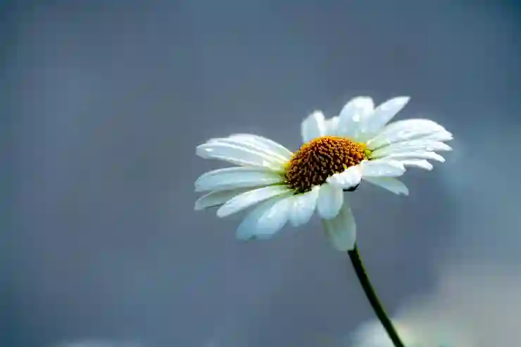 갤럭시 문자 알림음 MP3 변경하기, 숨겨진 방법 알아보기
