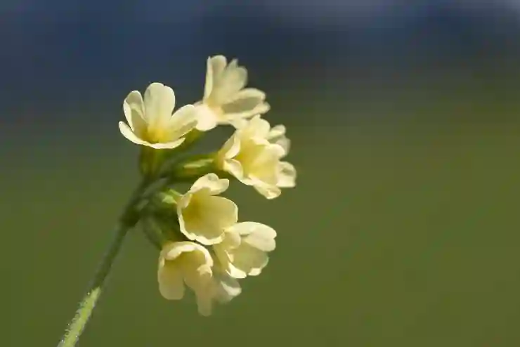 기업은행 i-ONE 뱅크, 지문 인증서로 간편하게 로그인하는 방법 알아보기