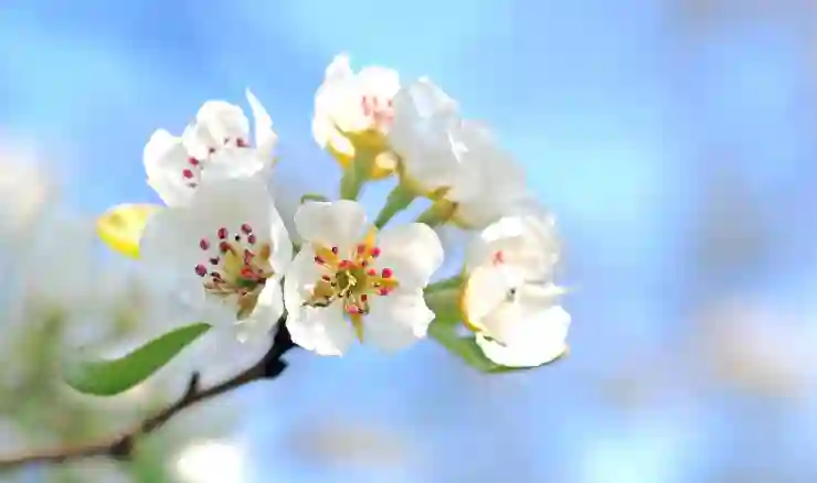 도트 이미지의 저작권, DOTOWN에서 알아보는 필수 사항