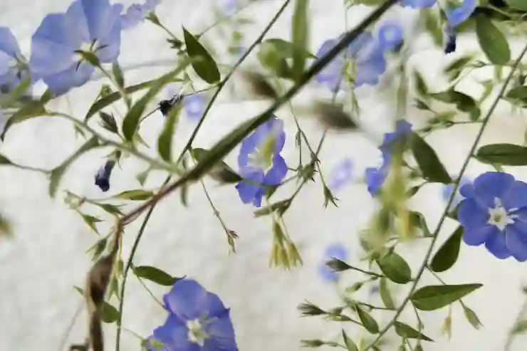 인스타그램 민감한 콘텐츠 해제하는 법 알아보기