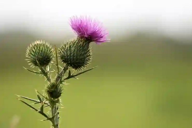카카오 내비 블랙박스 완벽 활용법 알아보기