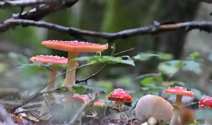 포토샵으로 GIF 용량 줄이는 꿀팁 대공개!