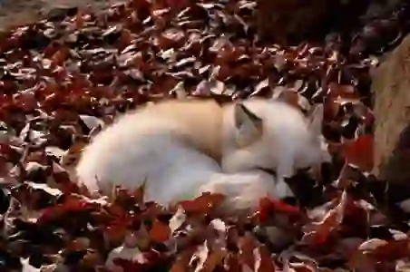OTF와 TTF, 당신에게 맞는 폰트 선택법 알아보기
