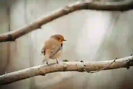카카오메일 보내는 사람 이름 변경하기