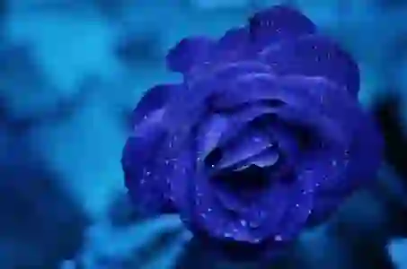 갤럭시 GIF 용량 줄이기: 기본 갤러리 앱 사용