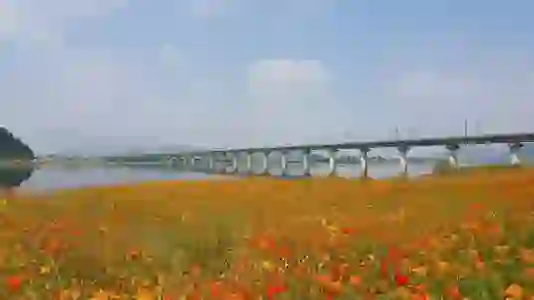 KTX 예매 방법 코레일톡으로 편하게