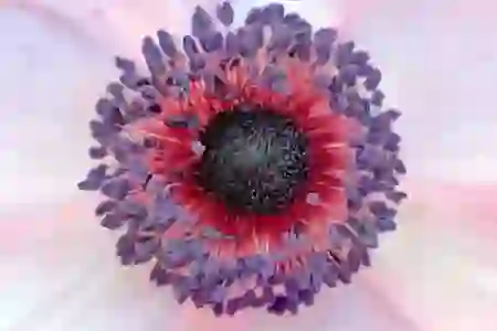 미리캔버스 저작권 무료 허용 범위, 쇼핑몰 학교 공모전 사용 가능?