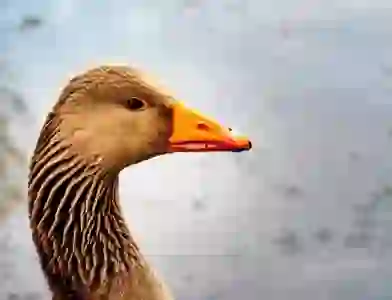 카톡 프로필 뮤직 넣기 or 삭제하기