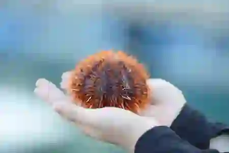 포토샵 배우기는 독학, 학원 어떤 게 좋을까?