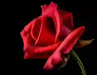 멜론 정기결제 이용권 해지 방법(안드로이드 스마트폰)