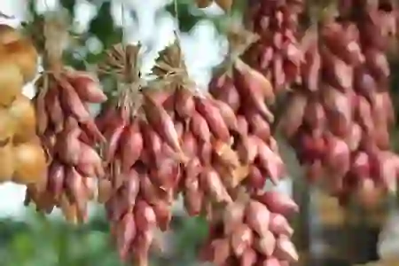 T전화 다크모드 설정 및 나만의 테마 만들기