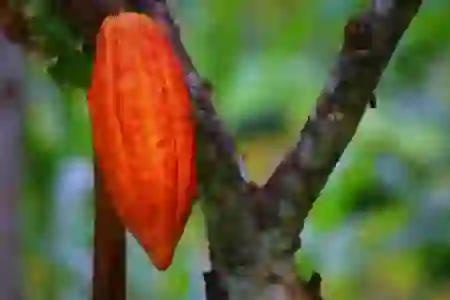 카카오 메일 안 읽은 메일만 전체 삭제하는 방법