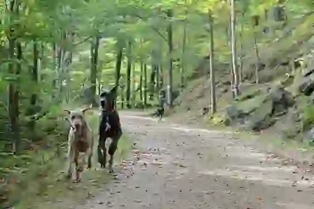 유튜브 앱 실행 안 됨, 무한로딩 해결 방법