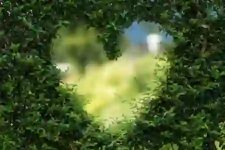 갤럭시 다이렉트 공유 기능 완전 끄는 법 알아보기