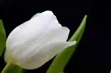 아이폰도 함께하는 갤럭시의 무선 배터리 공유 비법 살펴보기