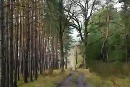 유튜브 유료 멤버십 간편하게 해지하는 법 알아보기