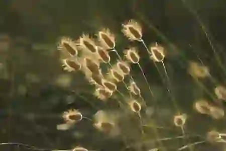 기업은행 ione 뱅크 톡톡송금으로 간편하게 돈 보내는 법 알아보기