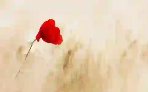 대용량 파일 공유의 혁신, 네이버 마이박스 활용법 알아보기