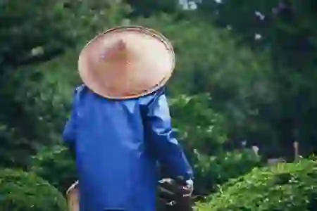 네이버 타이머 설정과 배경화면 바로가기 만들기 완벽 가이드