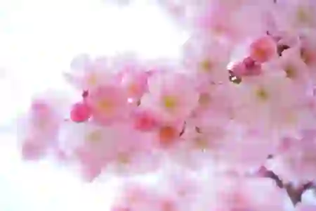 넷플릭스 시청기록 깔끔하게 지우는 방법 알아보기