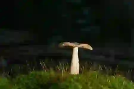 디스크 용량 부족? 간단한 정리로 해결하는 방법!