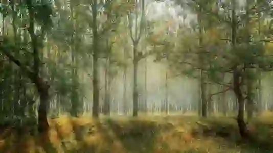 엣지 브라우저에서 마우스 우클릭 기능 해제하는 비법 알아보기