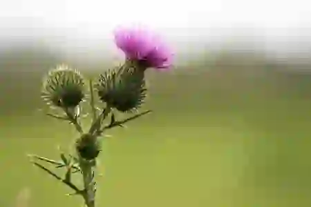 알뜰 교통카드로 버스비 절약하는 스마트한 팁!