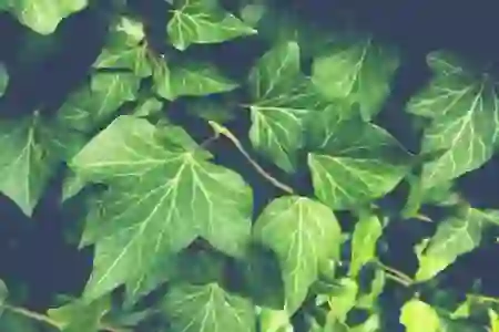 인스타그램 이름 변경과 사용자 이름의 차이점 완벽 정리하기