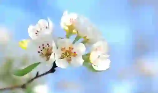 지메일에서 보내는 사람 이름 쉽게 변경하는 법