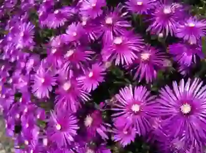 큐빗토렌트로 빠르고 간편하게 파일 다운로드하는 법 알아보기