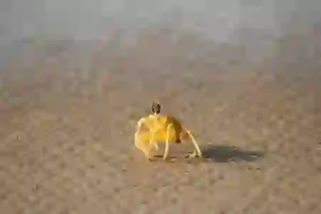 포토샵 독학과 학원, 어떤 선택이 나에게 맞을까?