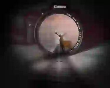 웹용 저장 시 JPG와 GIF 파일 확장자 문제 해결하기