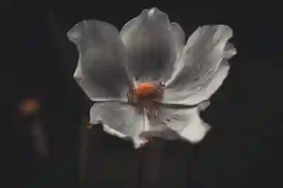 삼성인터넷 다크모드 설정하는 방법 알아보자