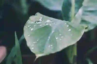 유튜브 앱에서 로그아웃하는 간단한 방법 알아보자