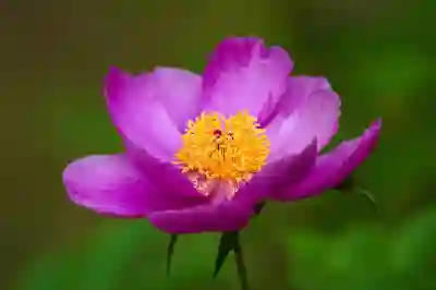유튜브 수익 창출 조건 알아보자