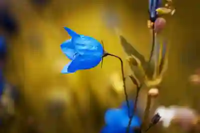 탄소중립실천포인트 회원 가입과 포인트 적립 꿀팁 알아보기