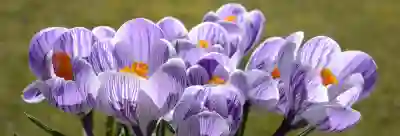 편의점 보바 프린트 이용하는 꿀팁 알아보자