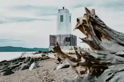 네이버 다른 기기 원격으로 로그아웃하는 방법 알아보자