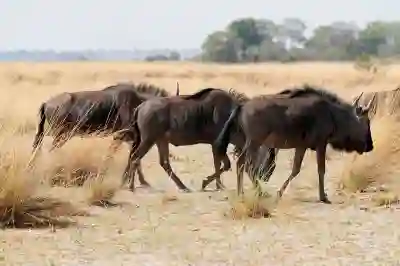 아이폰 사파리 다운로드 파일 위치 알아보자