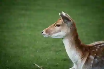 아이폰에서 네이버 밴드 프로필 사진과 이름 변경하는 방법 알아보자